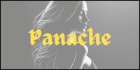 This logo represent Panache a website related to Fashion and Lifestyle.